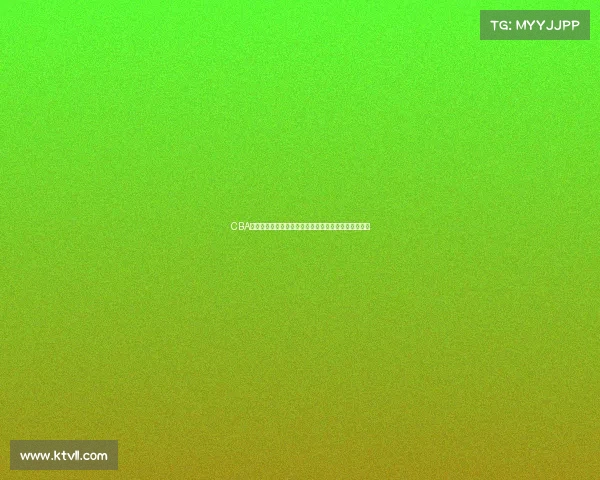 CBA全场观赛体验分享：从球场氛围到精彩瞬间的全面解析